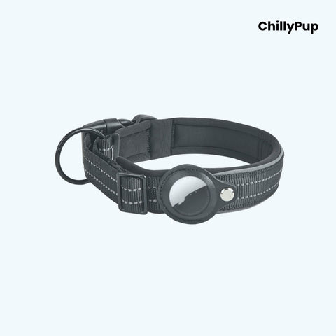 Black Nylon Airtag dog collar with white stitching on a white background, branded 'ChillyPup'.