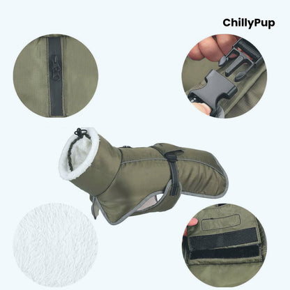 Green dog coat with close-up details on a white background, featuring the brand 'ChillyPup'.