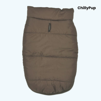 Brown dog coat with 'ChillyPup' branding on a white background