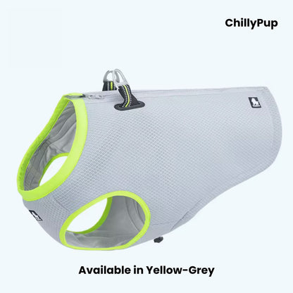 Grey dog cooling vest with green trim on a white background
