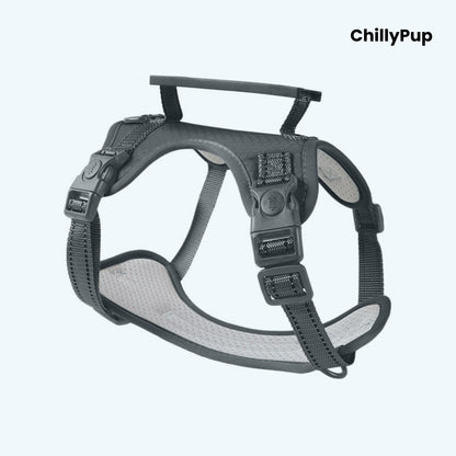 Black dog harness with grey padding on a white background, branded 'ChillyPup'.