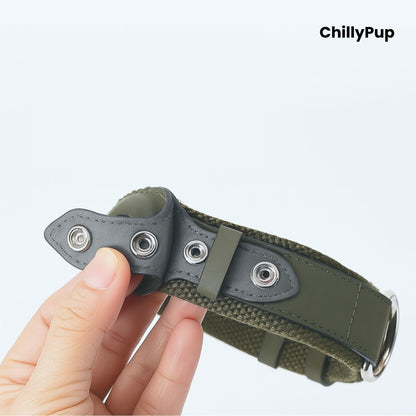 Green AirTag dog collar with a metallic clasp on a white background, branded 'ChillyPup'.
