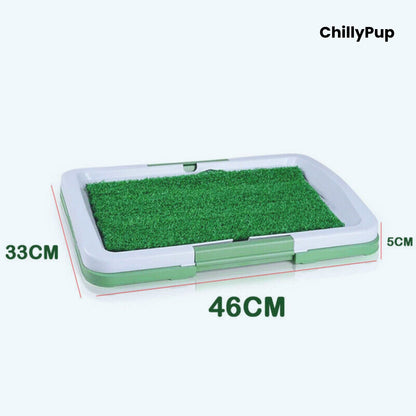 Green pet potty training pad with dimensions on a white background, branded 'ChillyPup'.