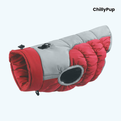 Premium Puffer Dog Coat with Chillypup branding on a white background