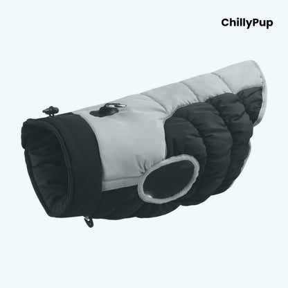 Premium Puffer Dog Coat with Chillypup branding on a white background
