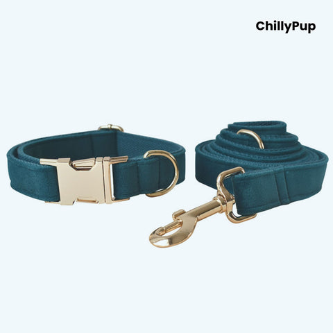 Teal dog collar and lead set with gold hardware on a light blue background, branded 'ChillyPup'.