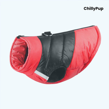 Padded dog coat with zip and D ring on a white background with ChillPup branding.
