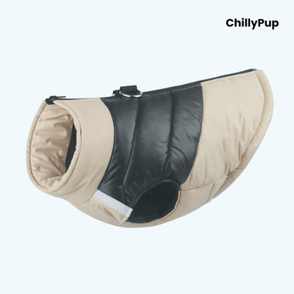 Padded dog coat with zip and D ring on a white background with ChillPup branding.