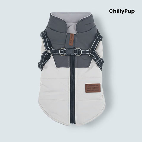 Dog coat with harness on a light grey background, branded 'ChillyPup'.
